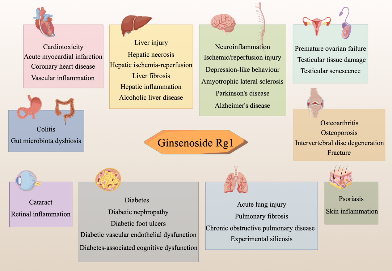 Traditional Medicine Research