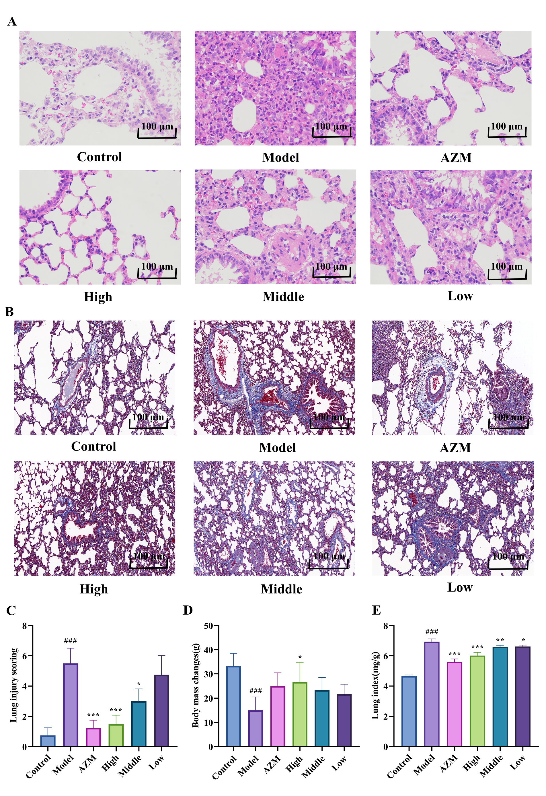 Traditional Medicine Research