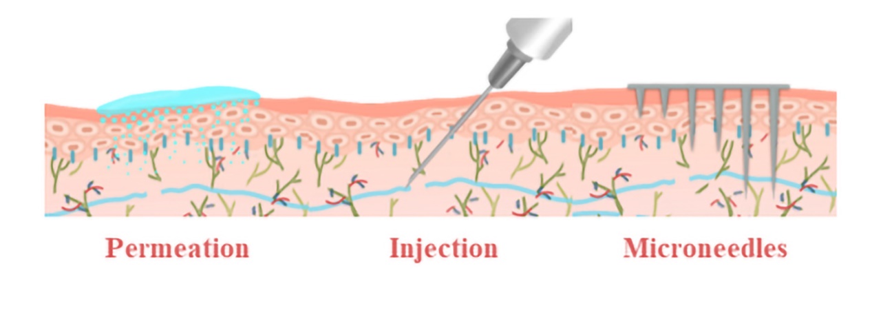 Biomedical Engineering Communications