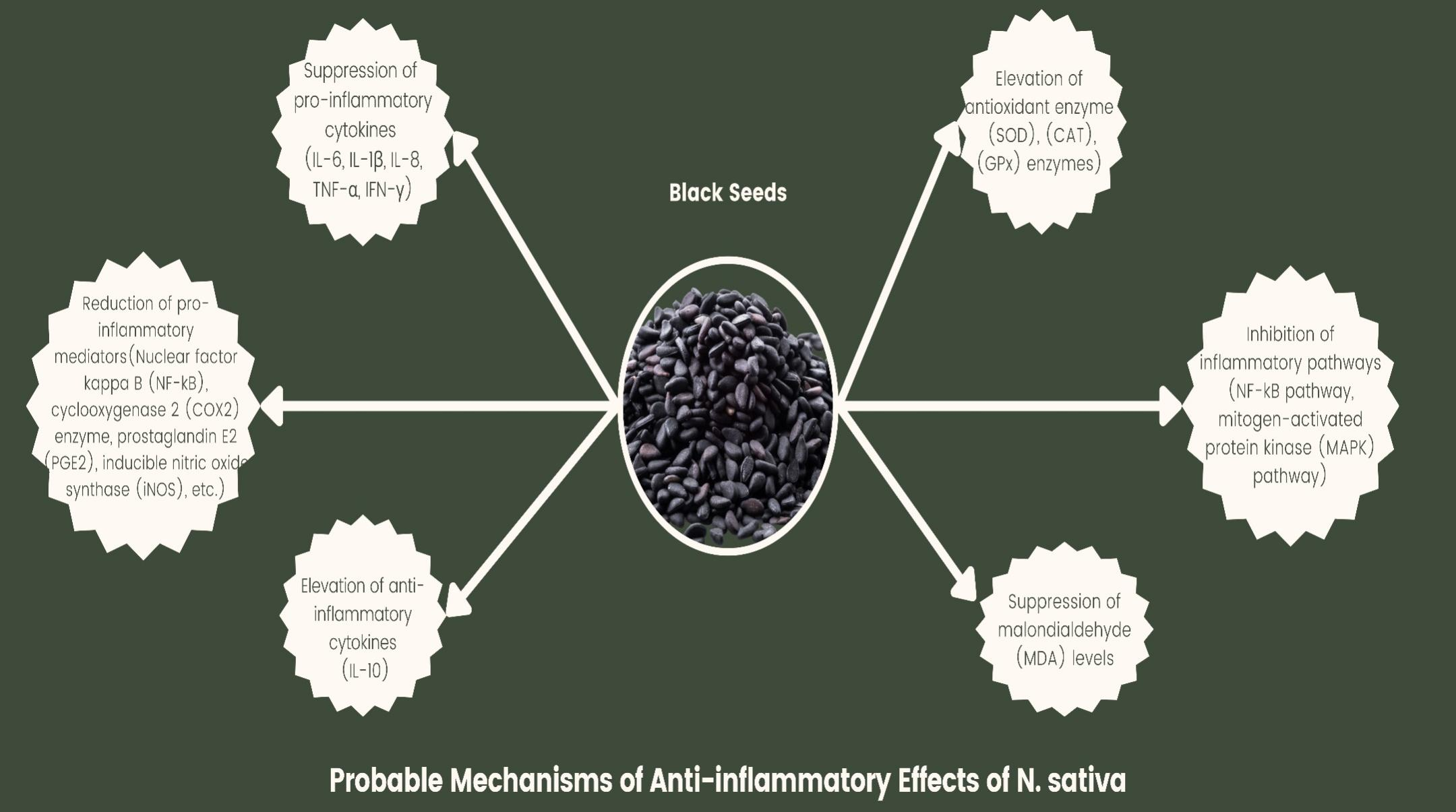 Food and Health Food and Health