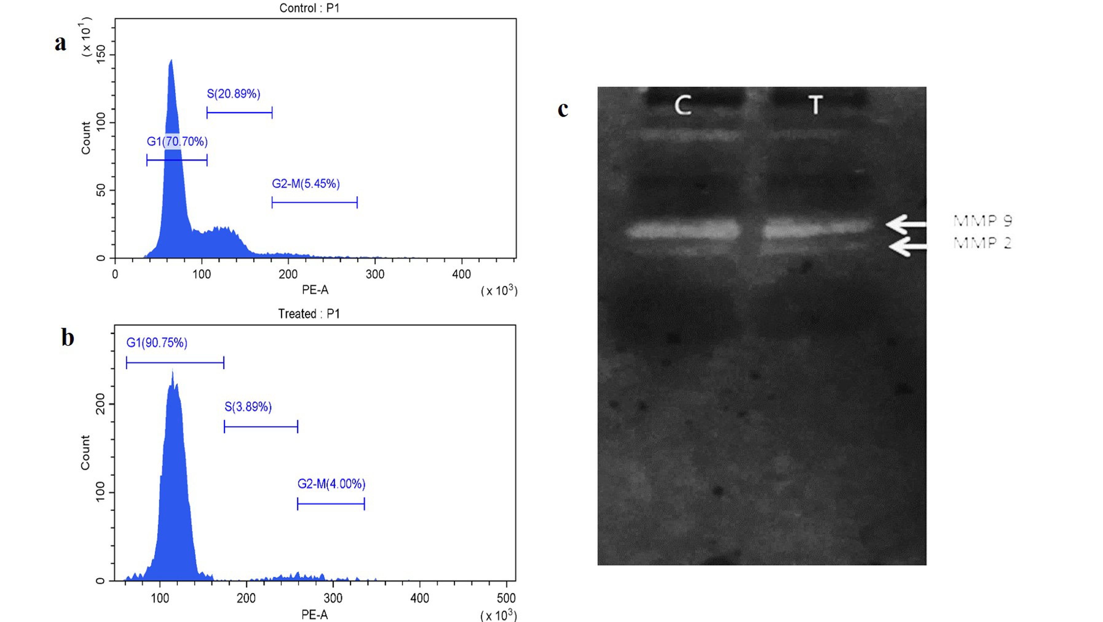 テスト A computational study on the optical shaping of gas targets