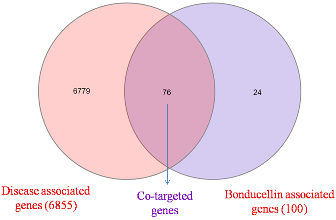 Traditional Medicine Research