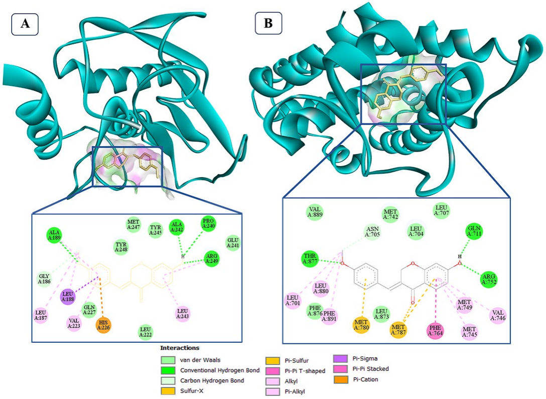 Traditional Medicine Research