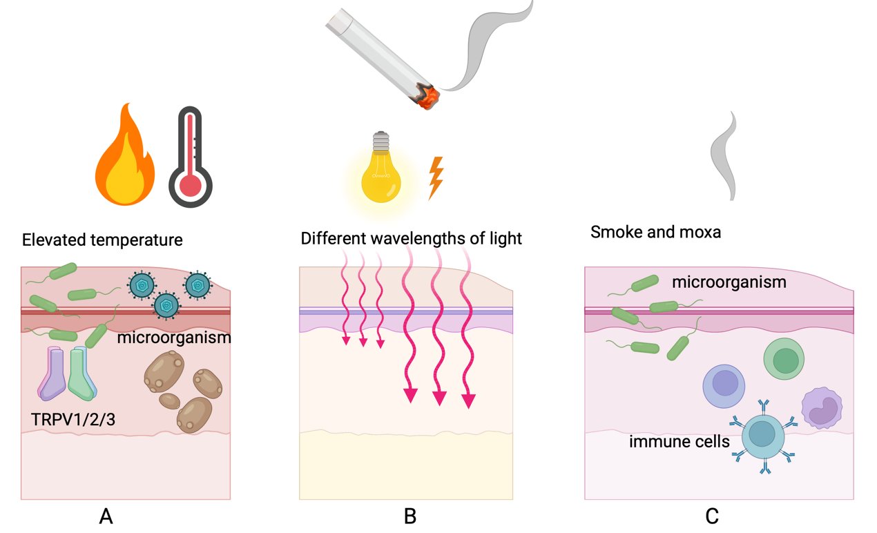 Infection Advances