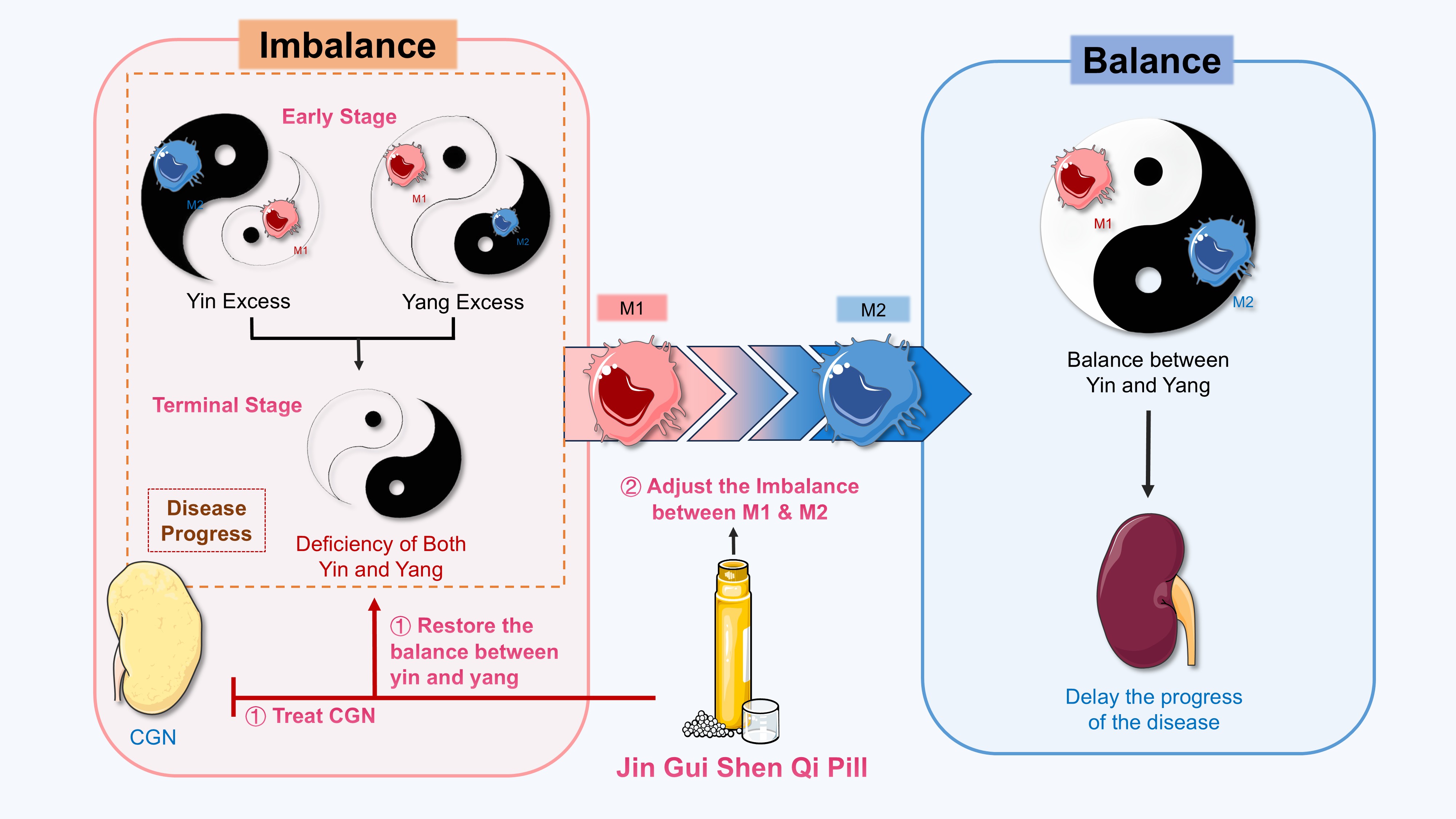 橋本 Traditional Medicine Research
