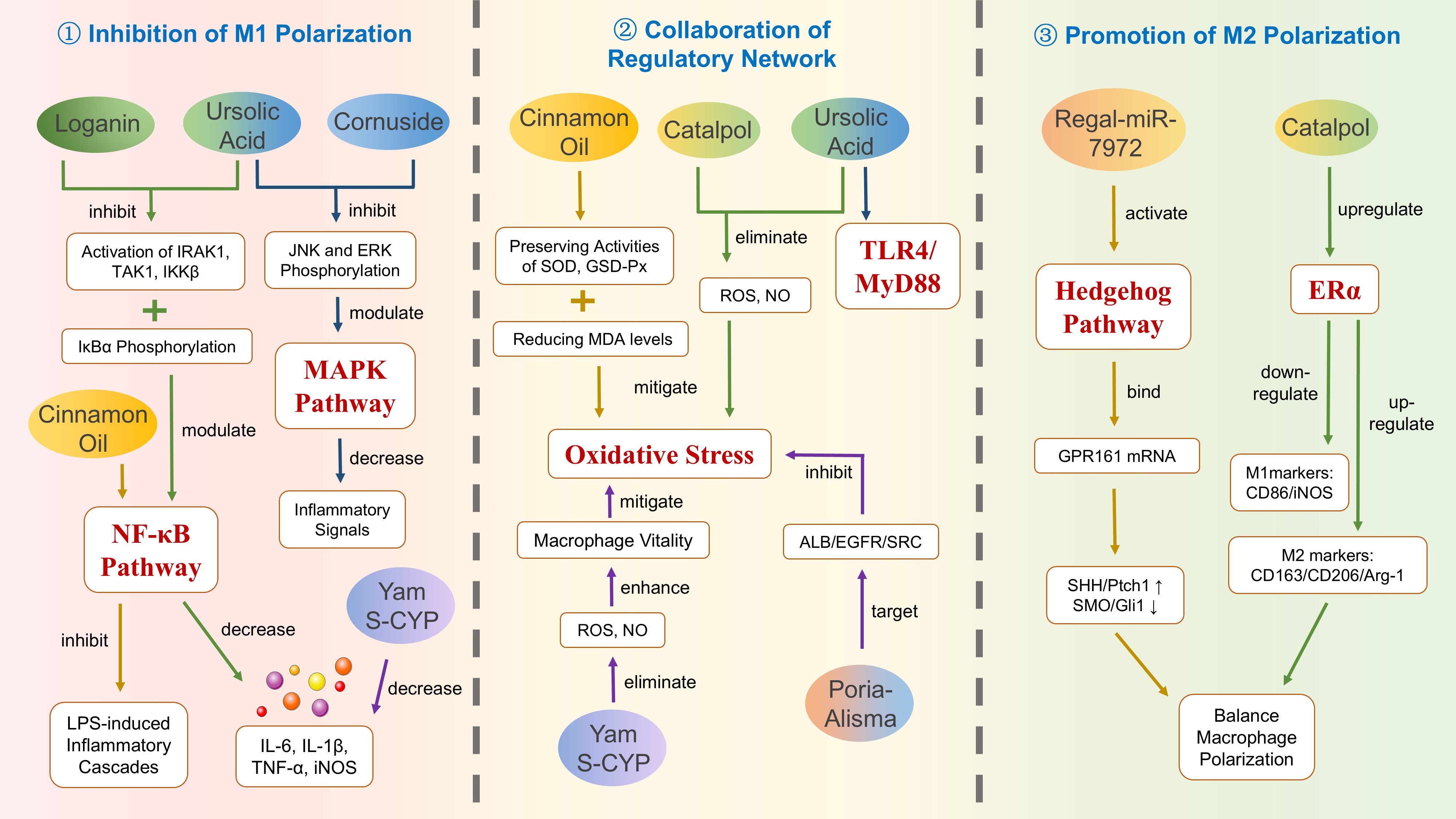 Integrative Medicine Discovery