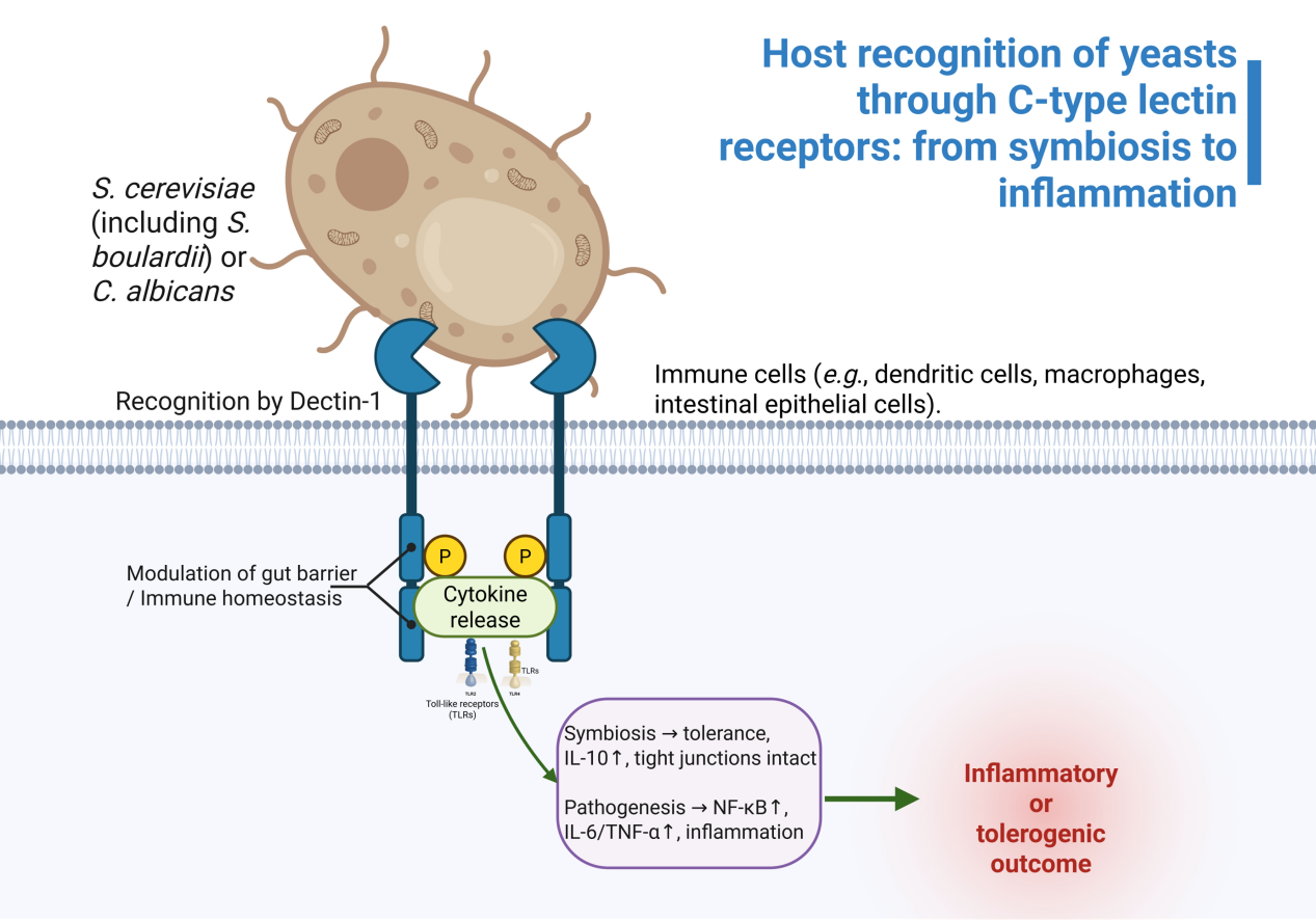 Infection Advances
