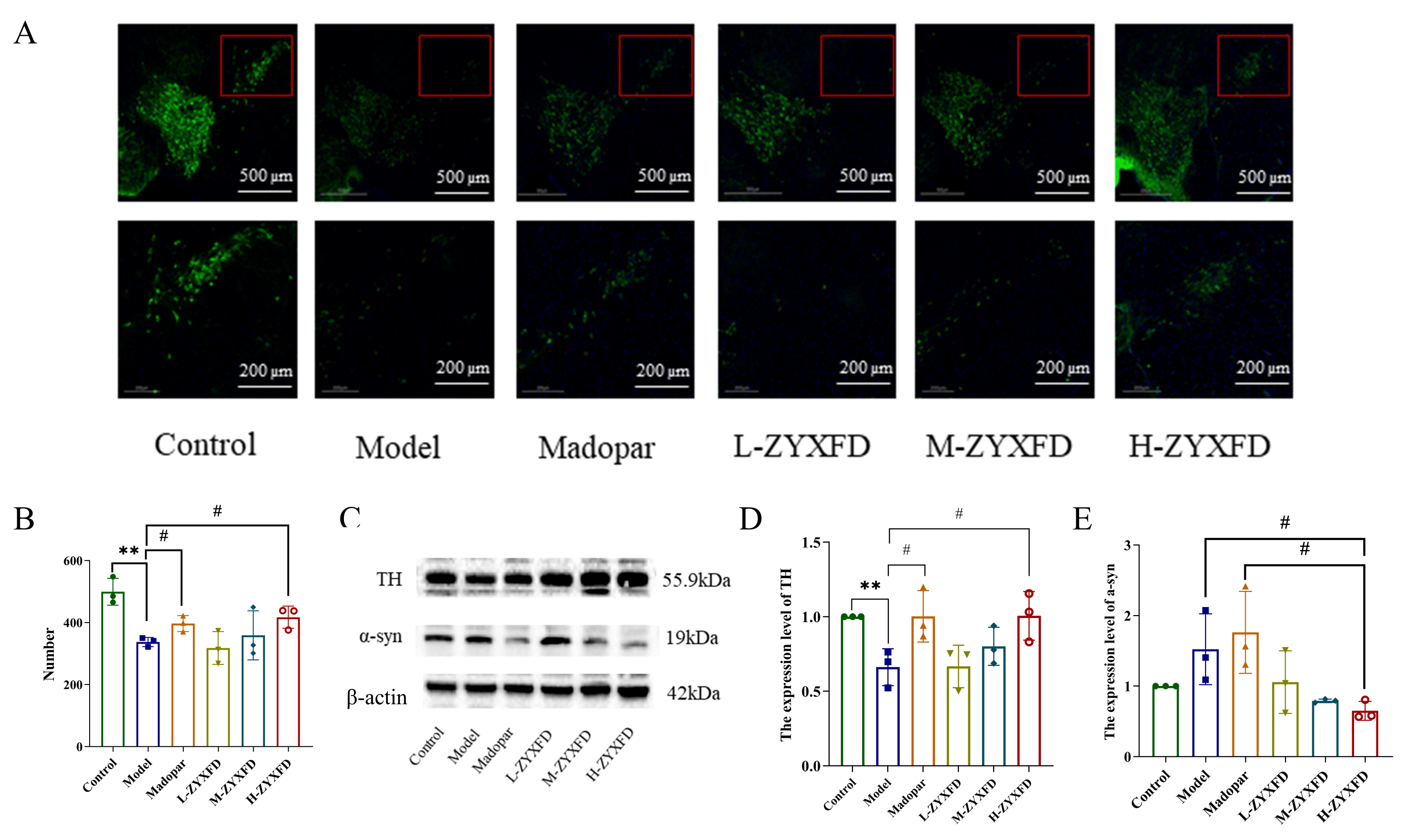Traditional Medicine Research