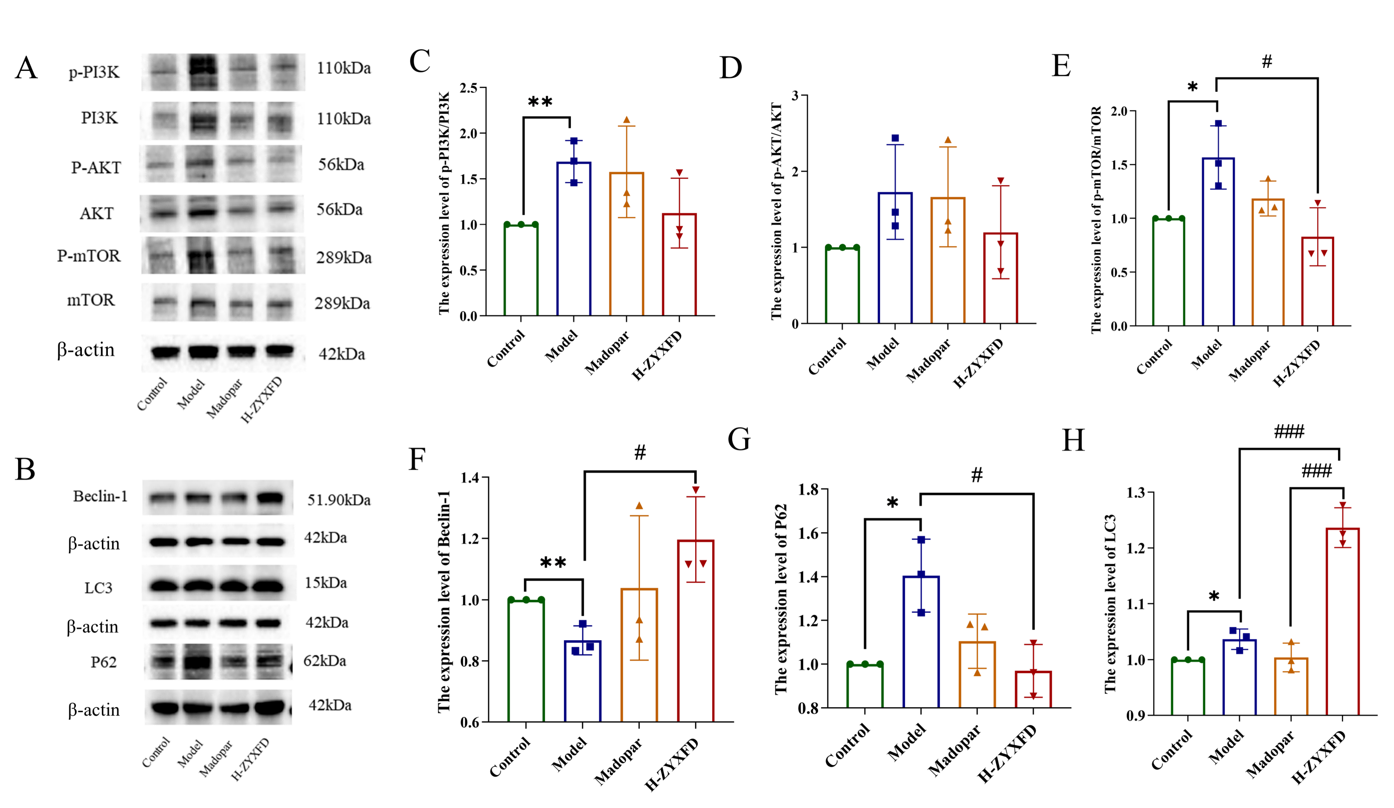 Traditional Medicine Research